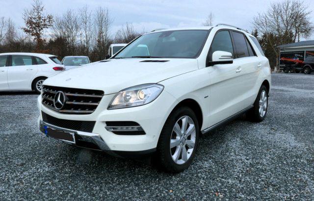 Mercedes-Benz ML 250 CDI/NAVI/AHK/KAMERA