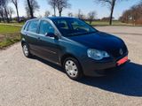 Volkswagen Polo IV 1.2 9N3 - Gepflegter Zustand - Volkswagen Polo: 9n Iv