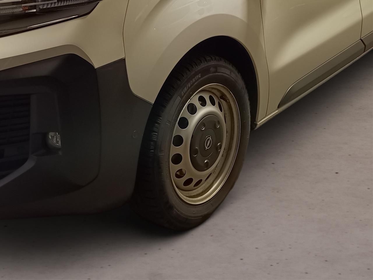 Fahrzeugabbildung Opel Vivaro Kasten 2.0 Diesel 130KW Automatik