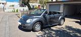 Volkswagen Beetle Cabrio 1.8T - Volkswagen Beetle aus 2008: Cabrio