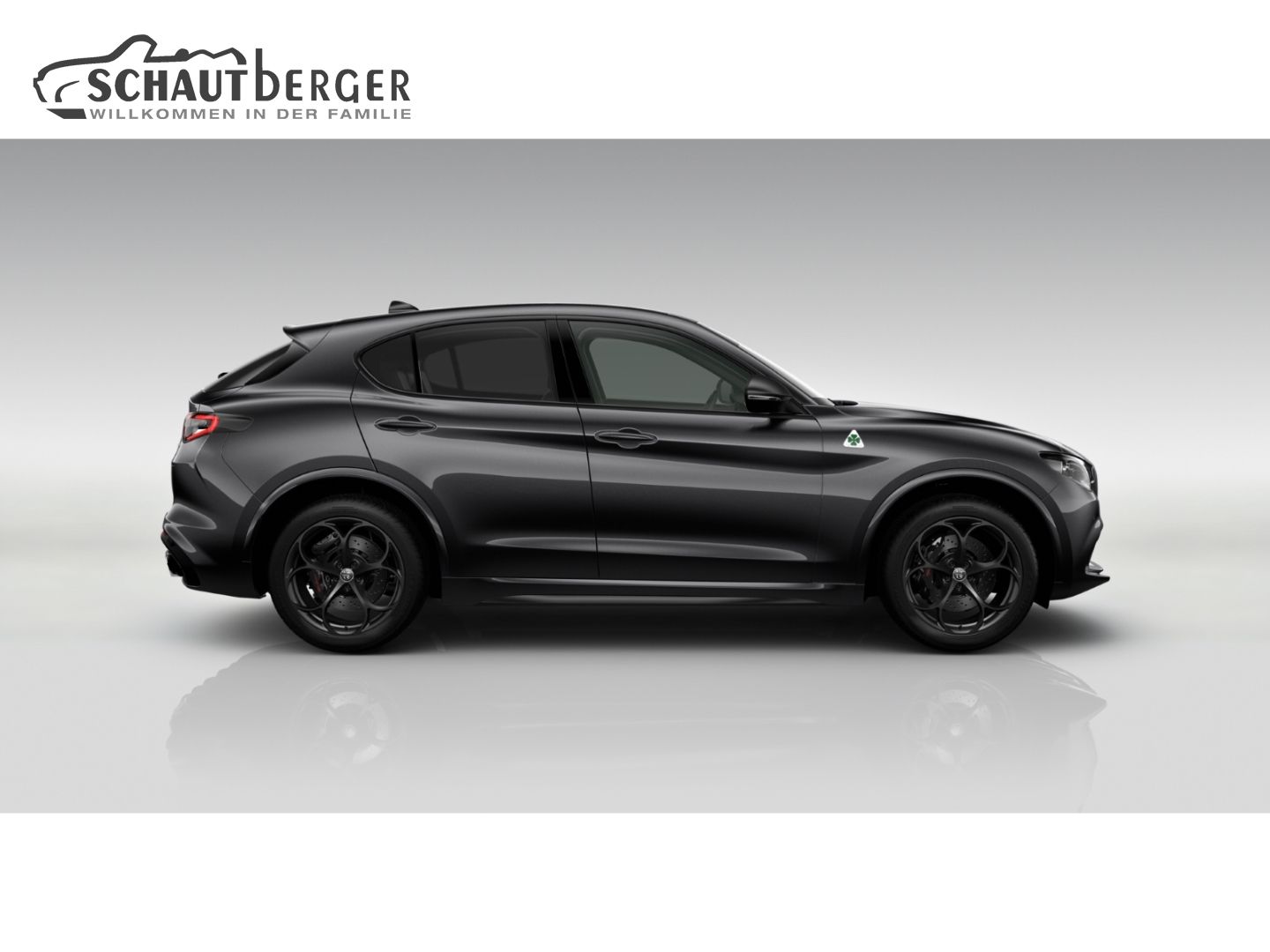 Alfa Romeo Stelvio - Bild 2