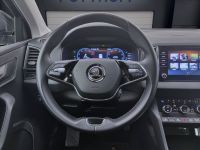 Skoda Karoq - Vorschau Bild 12