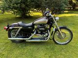 Harley-Davidson XL 1200 Custom Sportster - HARLEY-DAVIDSON 2007 SPORTSTER 1200