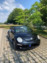 Volkswagen New Beetle 1.8T Cabriolet - - Volkswagen New Beetle in Köln