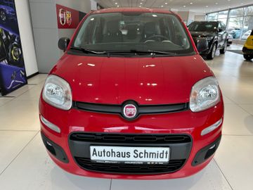 Fotografie Fiat Panda Easy