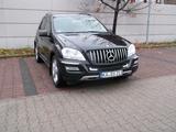 Mercedes-Benz ML 300 CDI 4MATIC BlueEFFICIENCY - - Mercedes-Benz ML 300 von privat
