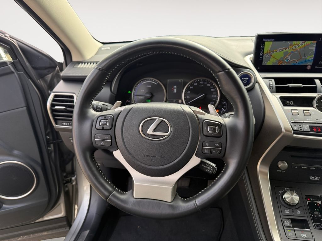 Fahrzeugabbildung Lexus NX 300h E-FOUR Luxury Line
