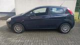 Fiat Punto 1.2 8V - - Fiat Punto in Dortmund