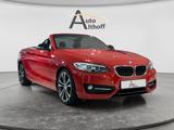 BMW 220i Cabrio BI-XENON LEDER PDC BT NAV SHZ TEMP - : Rot, Cabrio