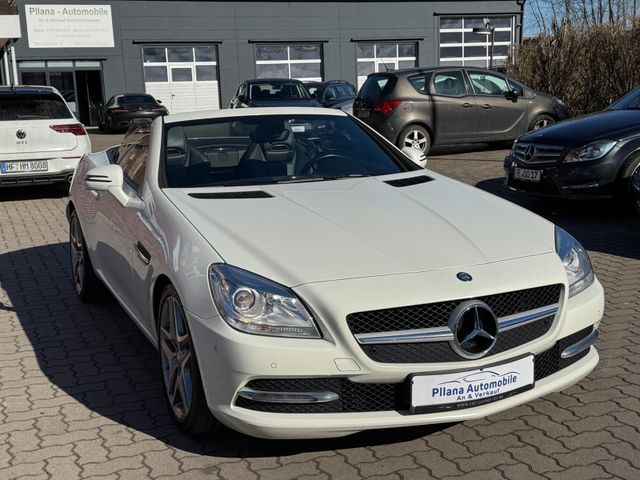 Mercedes-Benz SLK 250  CDI Carbon Look Edition,TÜV-AU NEU