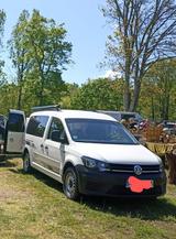 Volkswagen Caddy Maxi/ Minicamper - Volkswagen Caddy Maxi: Privatanbieter