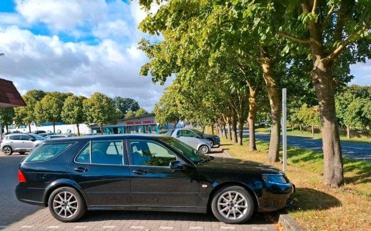 Saab 9-5 2005 — rear view