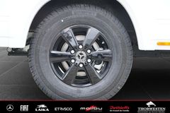 Autohaus Thorwesten Gebrauchtwagen