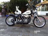 Harley-Davidson Softail Evo Motor Perfekter Neuaufbau - HARLEY-DAVIDSON 1996