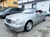 Mercedes-Benz CLK 200 Avantgarde***DESIGNO*SHZ*** - gebrauchte Mercedes-Benz CLK 200 aus dem Jahr 2001