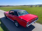 Ford Mustang,Scheibenbr.,Servo,Automatik,toller Lack - aus 1967: Coupé