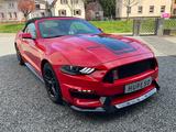 Ford Mustang GT 350  SHELBY unfallfrei - Ford Mustang: Shelby Gt350