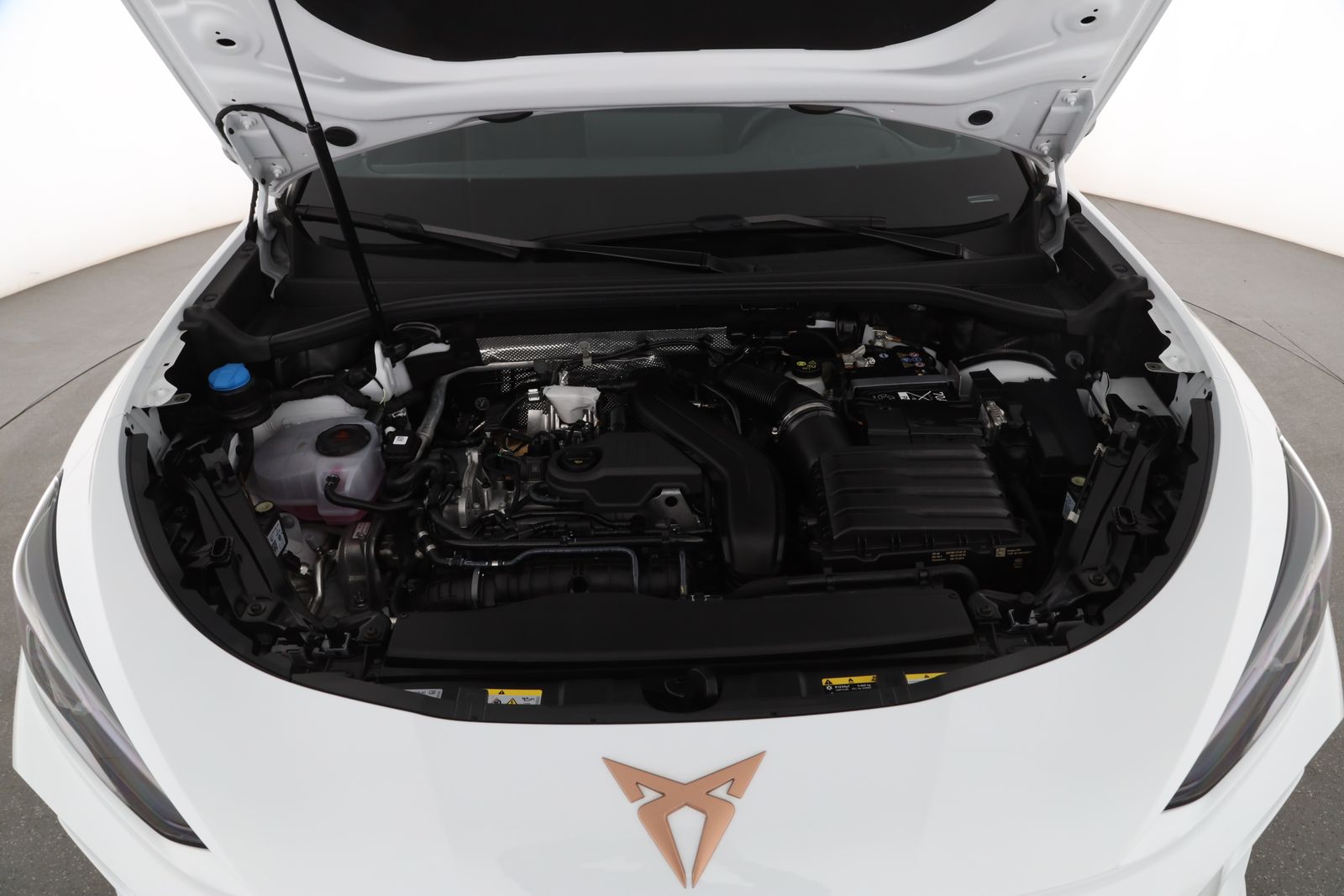 Cupra Terramar - Bild 9