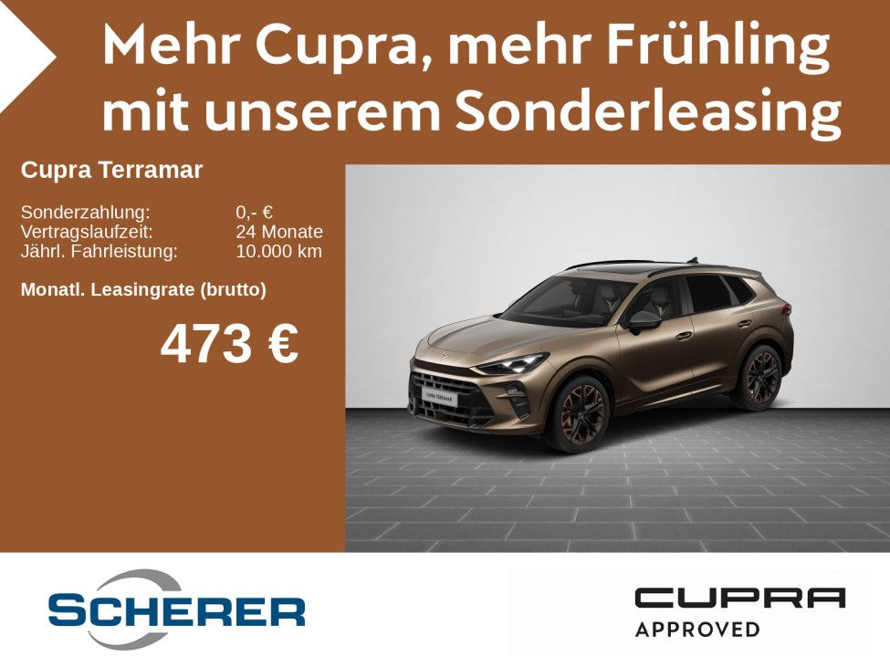 Cupra Terramar - Bild 1
