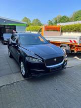 Jaguar  Jaguar F Pace Allradantrieb  - Jaguar F-Pace in Essen