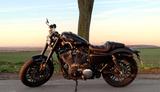 Harley-Davidson Sportster Roadster 1200 - HARLEY-DAVIDSON 1200 ROADSTER