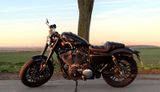 Harley-Davidson Sportster Roadster 1200 - Offers matching your search criteria