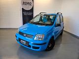 Fiat Panda 1.2 8V Dynamic +Automatik/Radio/Scheckheft - Fiat Panda mit Benzin-Antrieb: Kleinwagen, Automatik