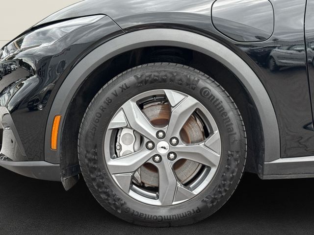 Ford Mustang MACH-E Basis B&O+ACC+360+El-Heck+LED+AHK