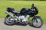 Yamaha TRX 850  - Offers matching your search criteria