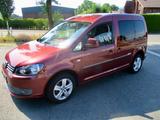 Volkswagen Caddy Kombi Roncalli Edition BMT Rollstuhl Umbau - Volkswagen Caddy: Roncalli Edition