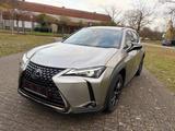 Lexus UX 250h Luxury Line Luxury Line - silberne Lexus UX
