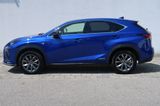 Lexus NX 300h E-FOUR F Sport - Lexus aus 2018