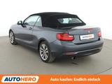 BMW 220i Advantage*NAVI*XENON*TEMPO*PDC*SHZ* - BMW 2er Reihe: Cabrio