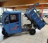 Andere Elektrofrosch Cargo Trike Andere Pritsche kippba - Andere Gebrauchtwagen