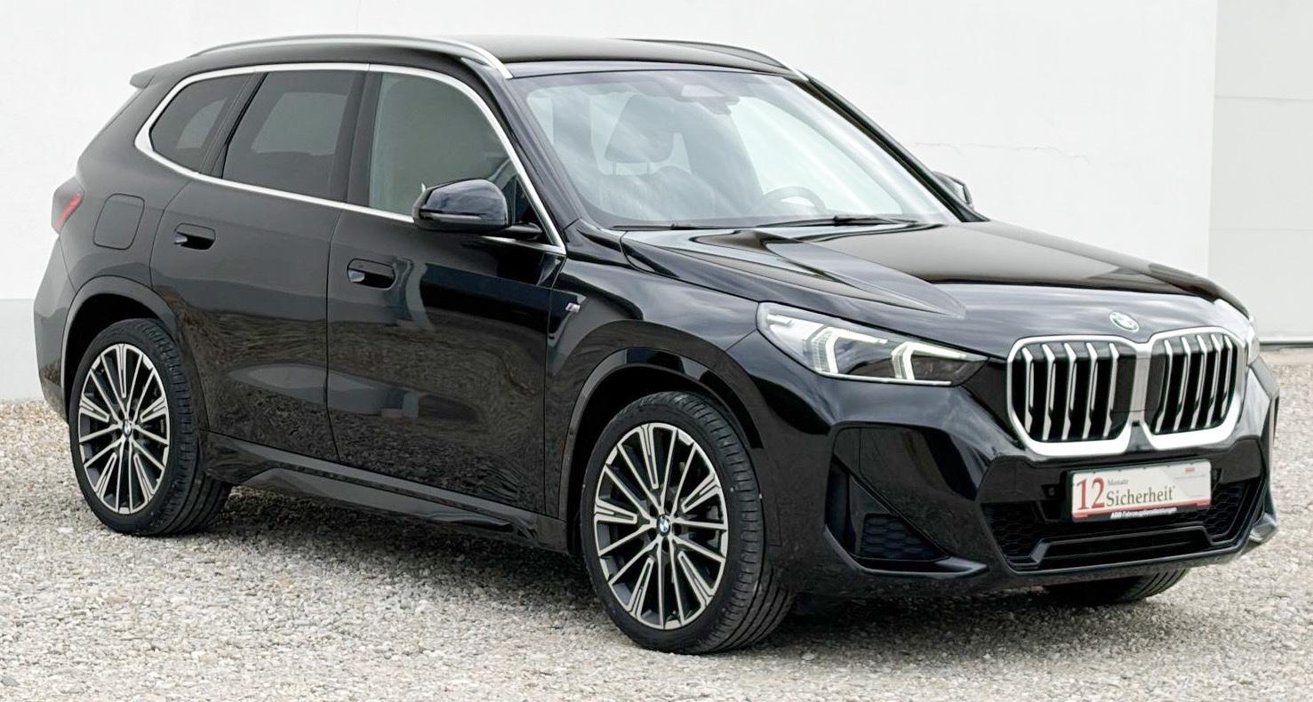 BMW X1 23xd U11 M Sport,AHK,DA P,Kamera, ad.LED