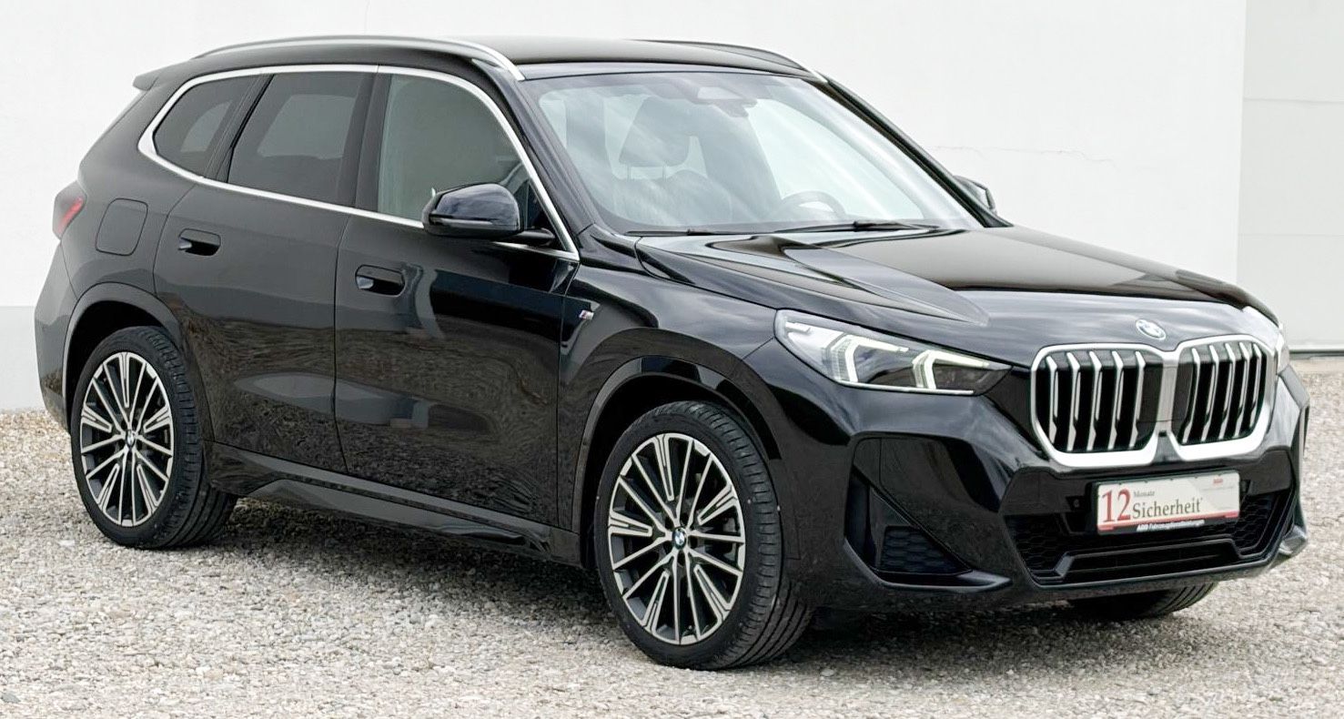 BMW X1 23xd U11 M Sport,AHK,DA P,Kamera, ad.LED