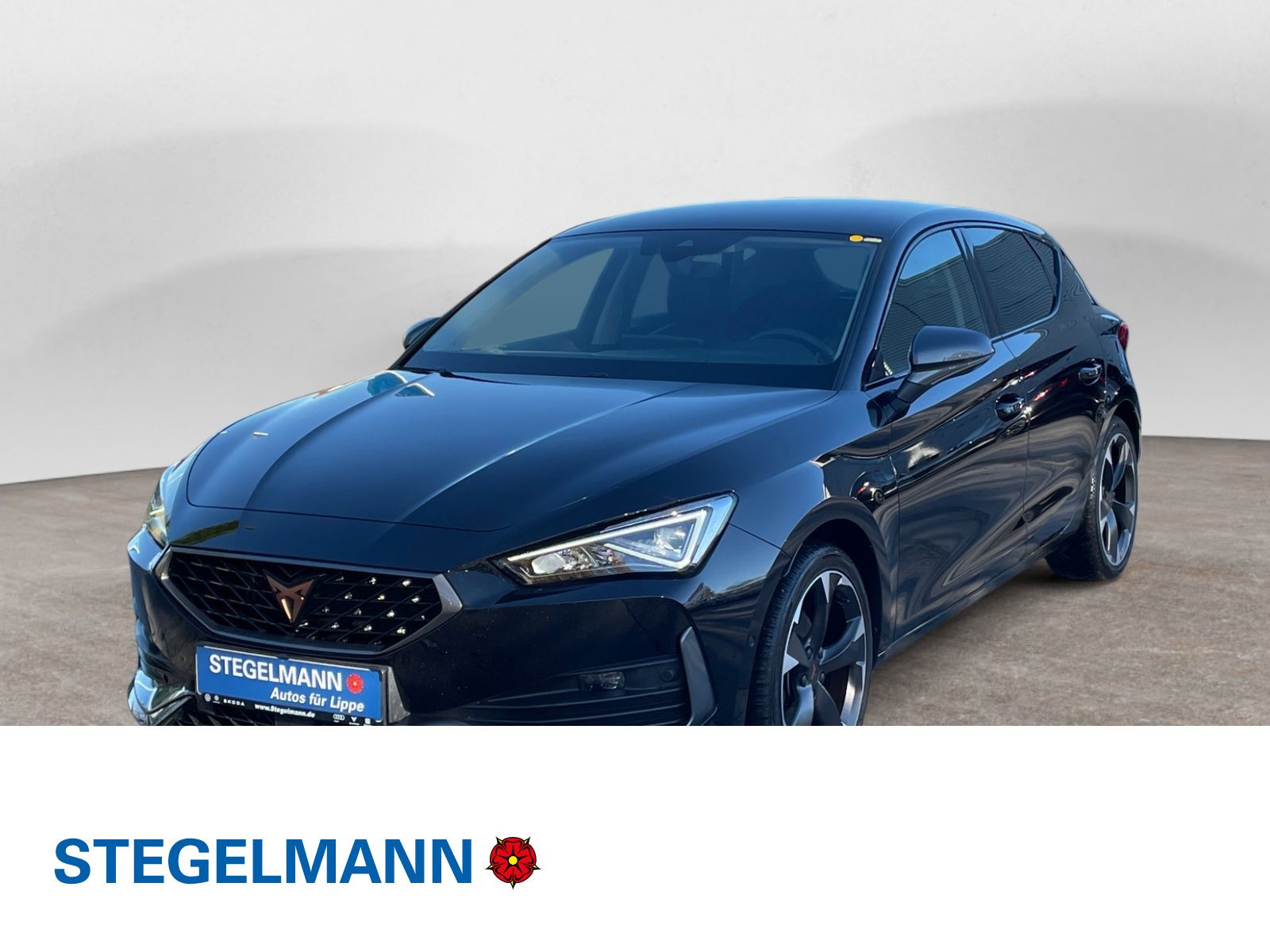 Cupra Leon 2.0 TDI DSG Vision-Plus-Paket *AHK*LED*Navi