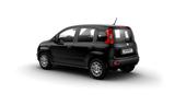 Fiat Panda Pandina POP Hybrid 1.0 GSE #S&S #KLIMA - Fiat Panda POP mit Hybrid-Antrieb (Benzin/Elektro)