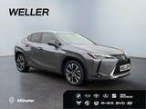 Lexus UX 250h Style Edition *Bi-LED*ACC*CAM*SHZ*CarPla - Lexus UX