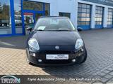 Fiat Punto 1.4 8V - Fiat Punto: Kleinwagen