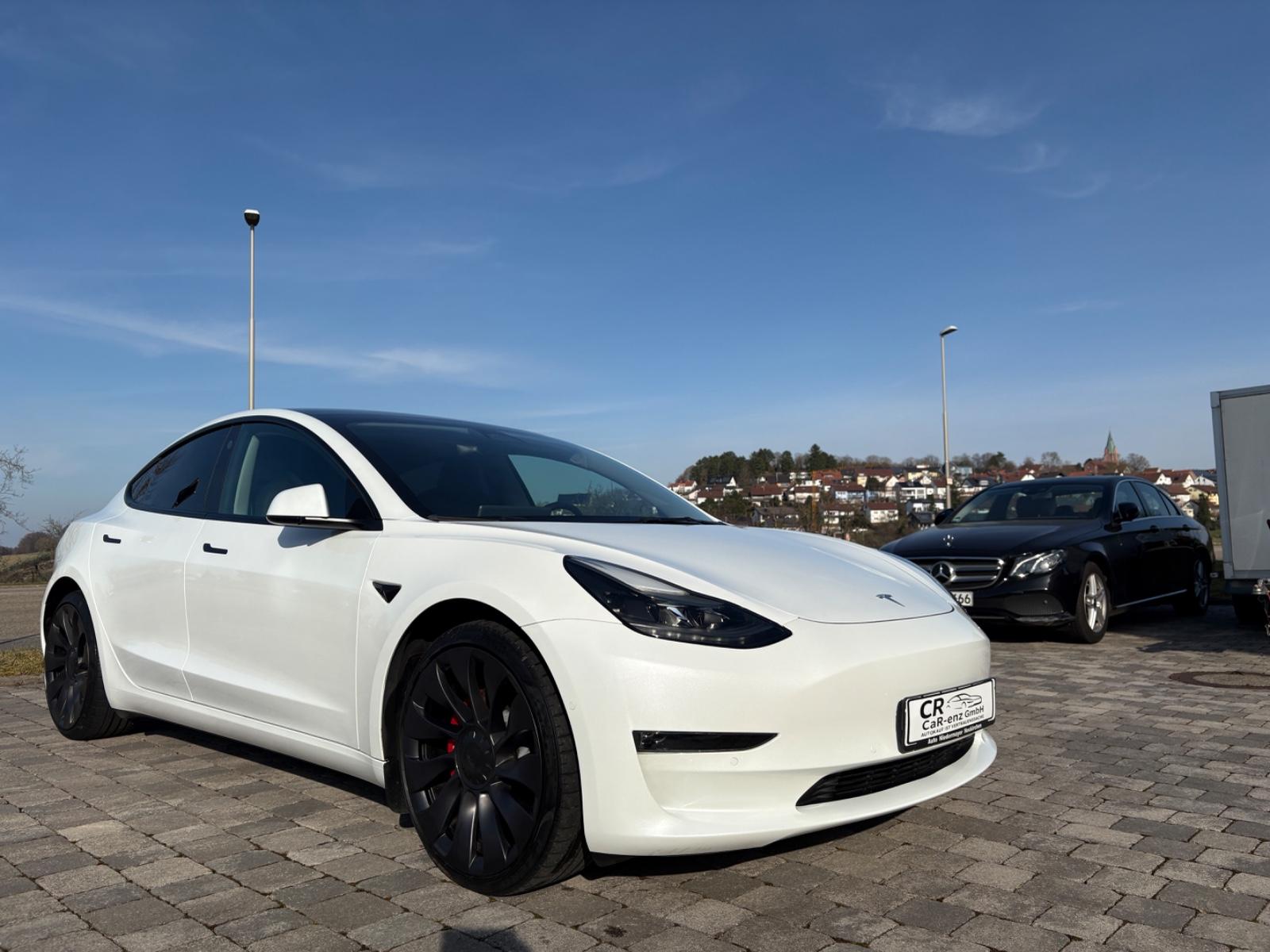 Tesla Model 3 Performance Dual AWD  ex. Wildschaden
