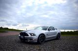 Ford Mustang 5.0, S197 - Ford Mustang in Hagen