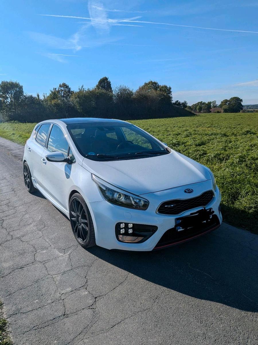 Kia Andere