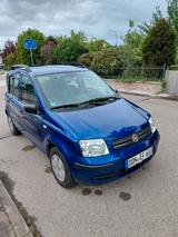 Fiat Panda 1,2 8V Dynamic - Fiat Panda: Von Privat