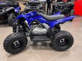 Yamaha YFM 110R  Kinderquad - BENZIN QUAD KINDER