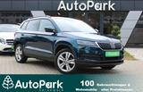 Skoda Karoq Style /Amundsen/LED/Winterräder - : Winterräder