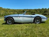 Austin Healey 100/6 BN6L - Austin Healey Gebrauchtwagen