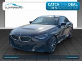 BMW 220i Navi+ACC+SHZ+HiFi+Fernl.Ass - BMW 220 in Mannheim