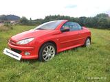 Peugeot 206 CC - Peugeot 206 in Solingen