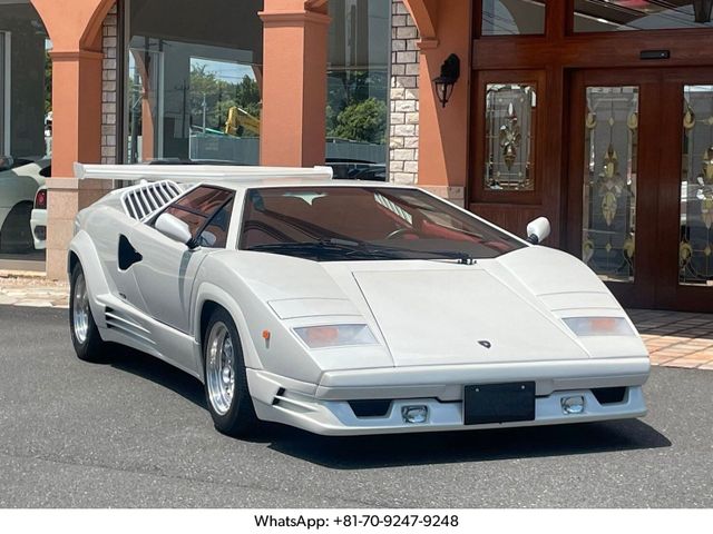 Lamborghini Countach 25th Anniversary